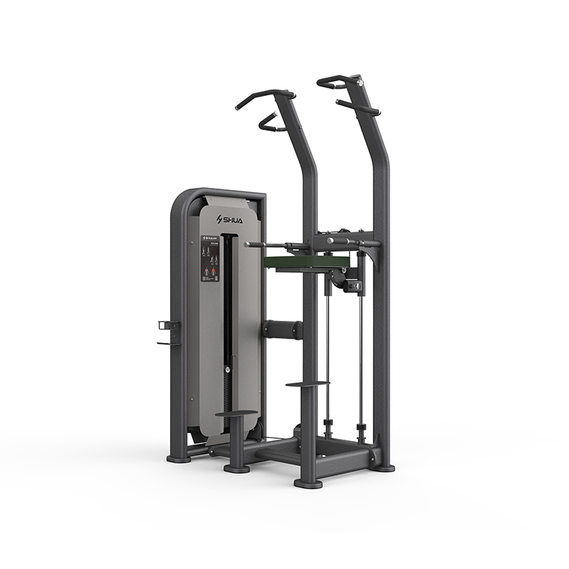 SHUA/舒華單雙杠訓練器SH-G6851